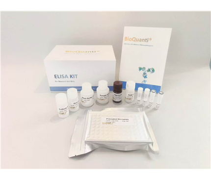 Bioquanti Sep-Oct Promotion | Buy 3 Get 1 Free on Media